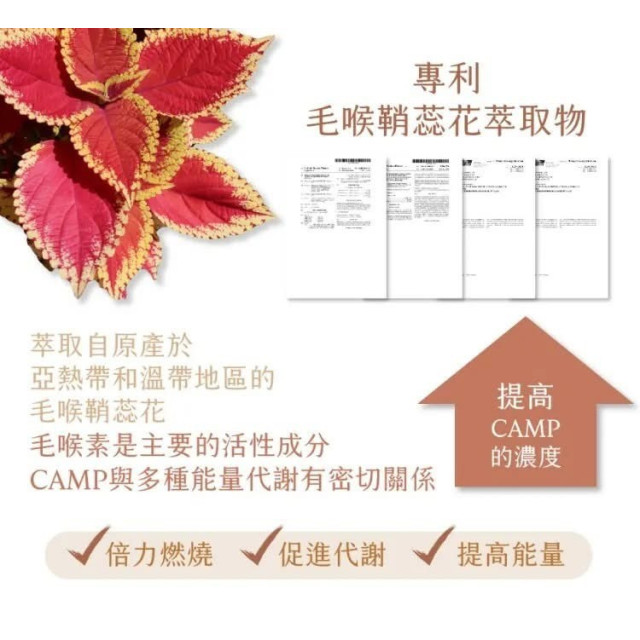 斷脂肪 · 日日燃膠囊(買4送1)